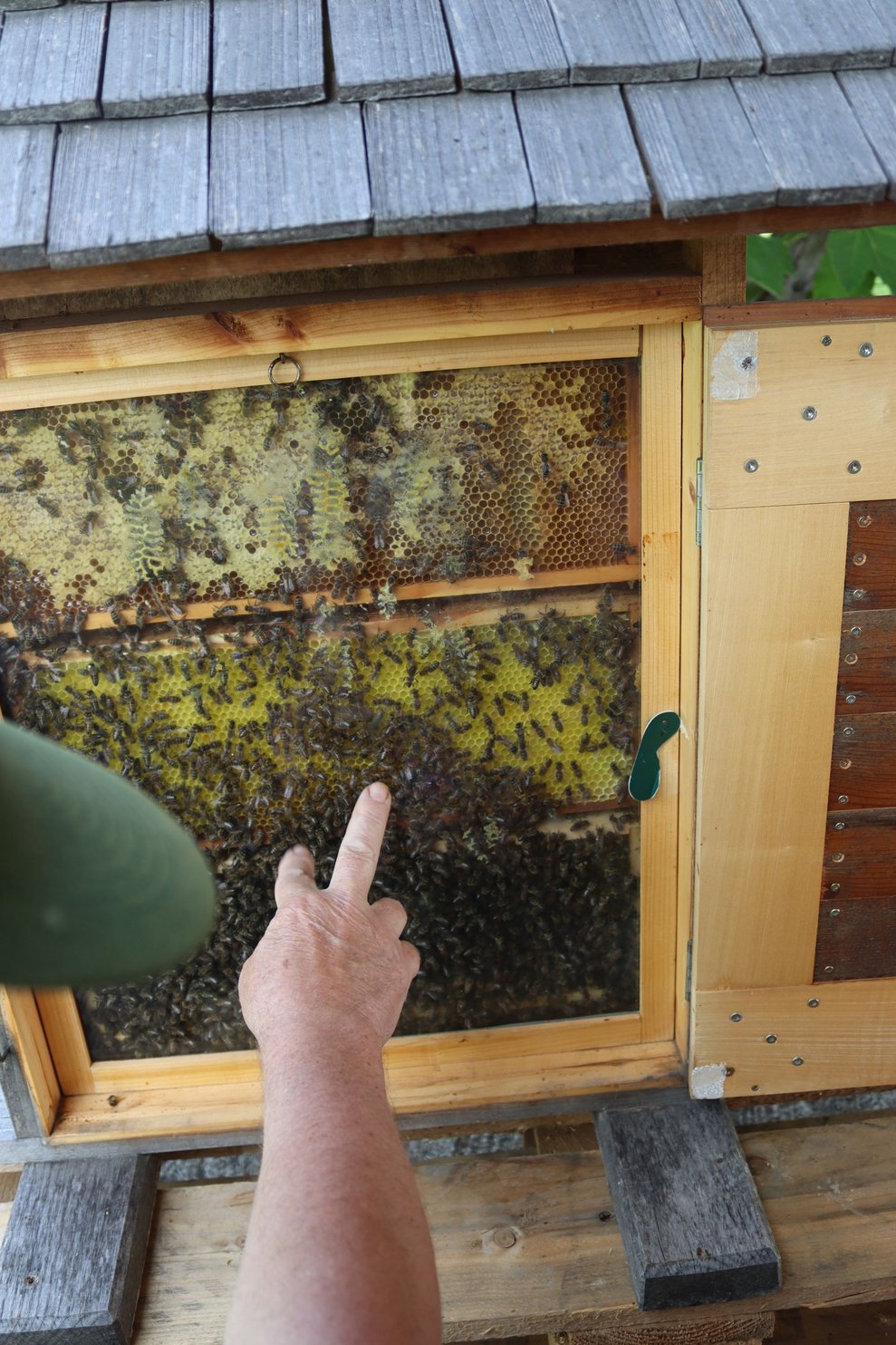 Bienenprojekt Teil 2